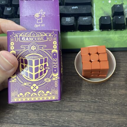 GAN330 brown version (Eggs)
