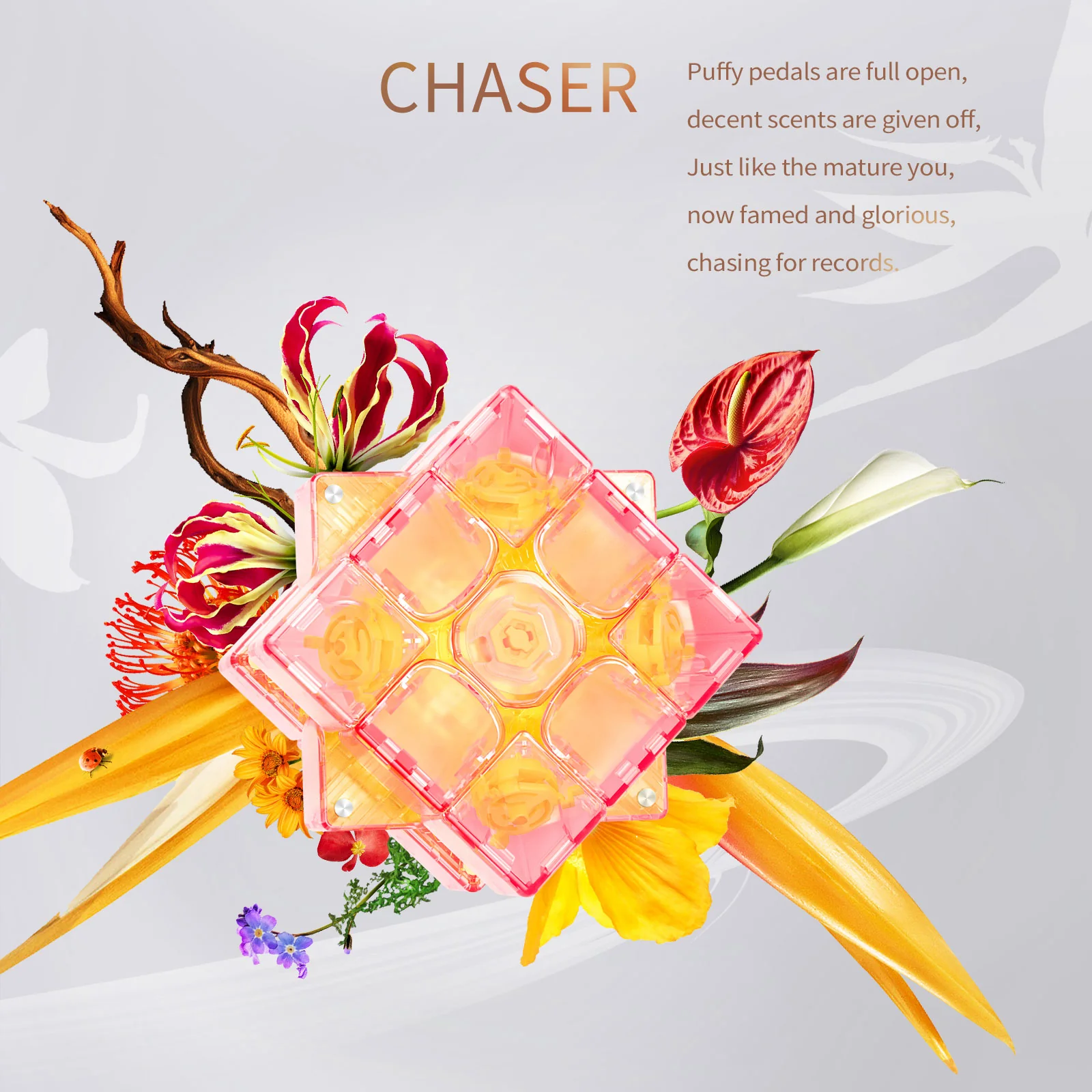 GAN summer four-piece set Chaser