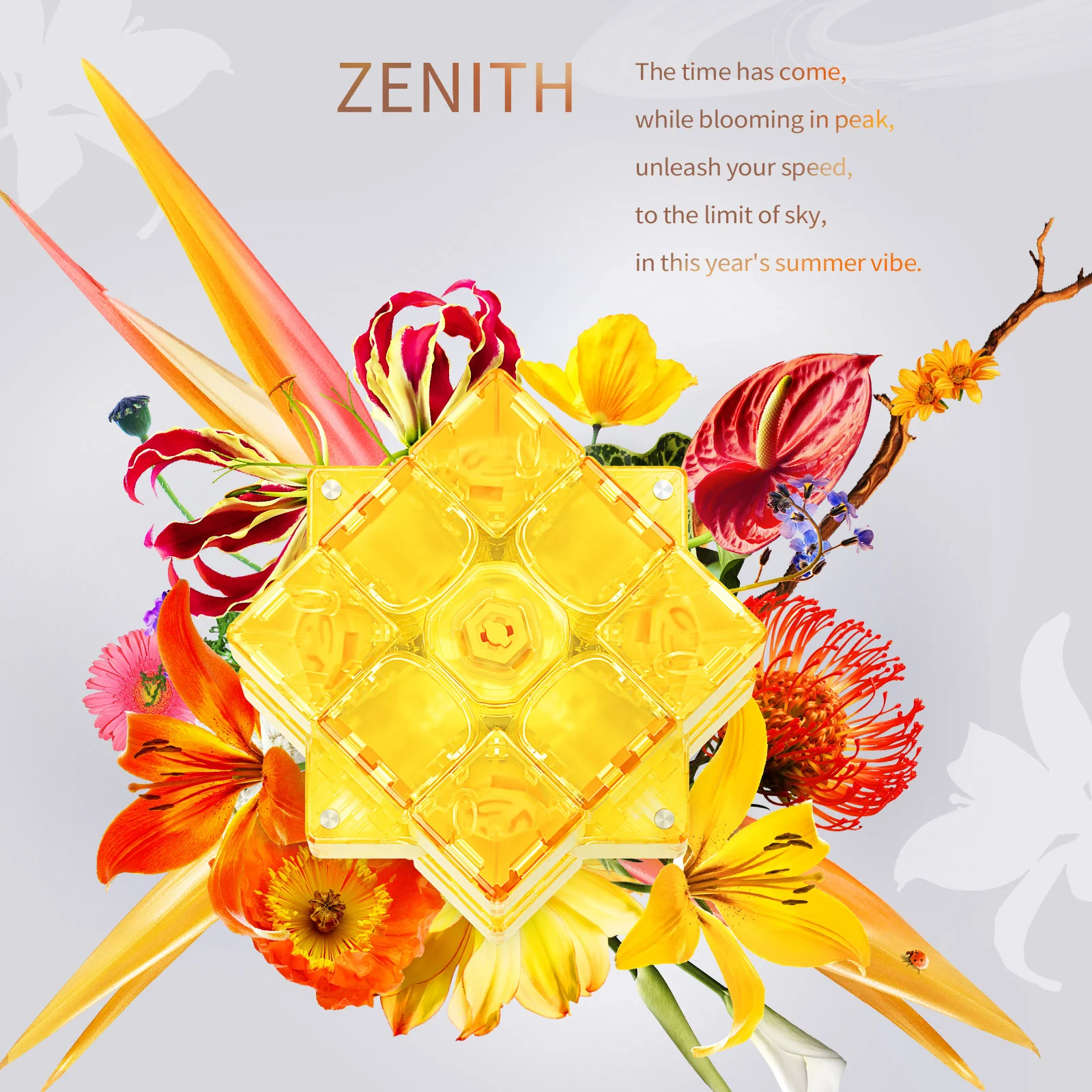 GAN summer four-piece set Zenith